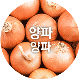 양파