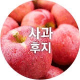 사과